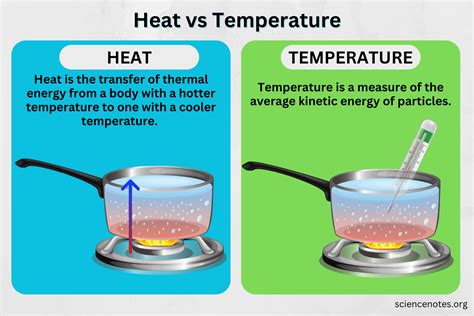 what is dead heat|Dead heat Definition & Meaning .